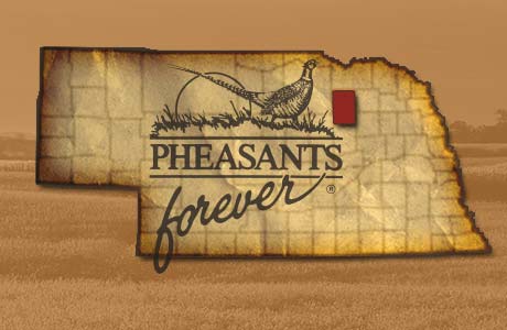 Nebraska's Next Pheasant Hunters